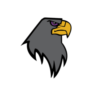 https://newcastleblackhawks.co.uk/wp-content/uploads/2024/02/cropped-hawk-logo-transparent-320x320.png